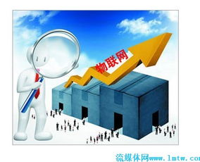 东莞物联网产值剑指800亿 三年战略布局与项目投资双轮驱动